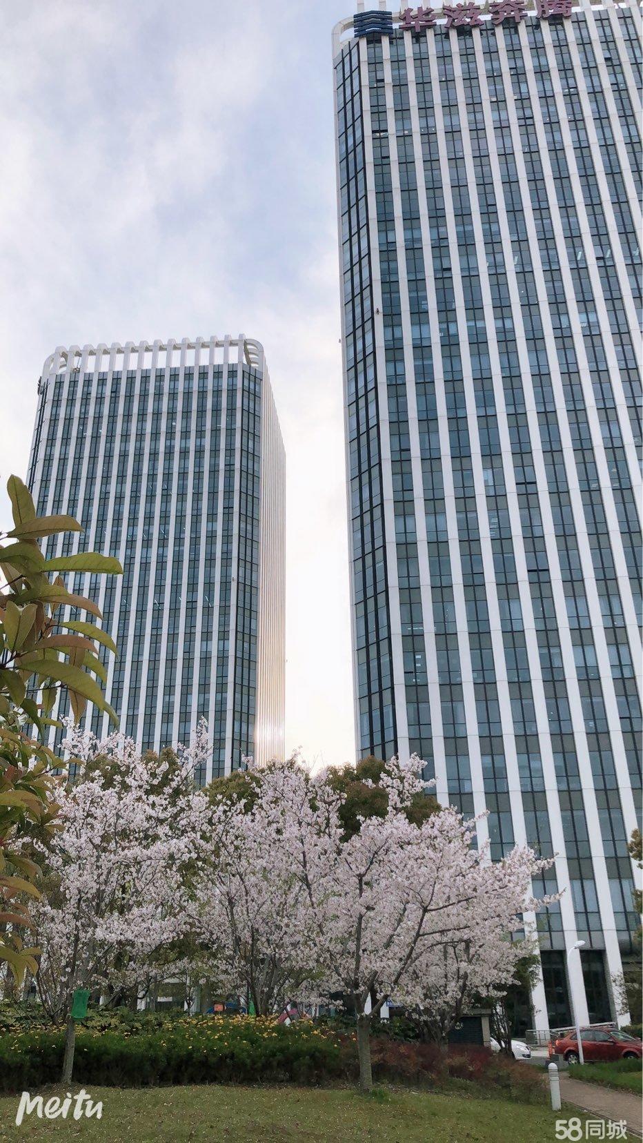 華滋奔騰大廈寫字樓出租,華滋奔騰大廈,5a甲花園寫字樓—上海寶山區辦